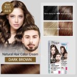 رنگ مو مردانه و زنانه گیاهی دیسار Disaar